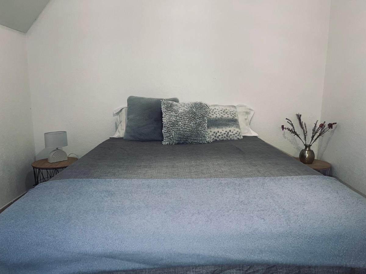 Appartement A 2 Mins Du Centre 萨尔拉拉卡内达 外观 照片